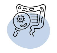 Screenshot 2025 12 07